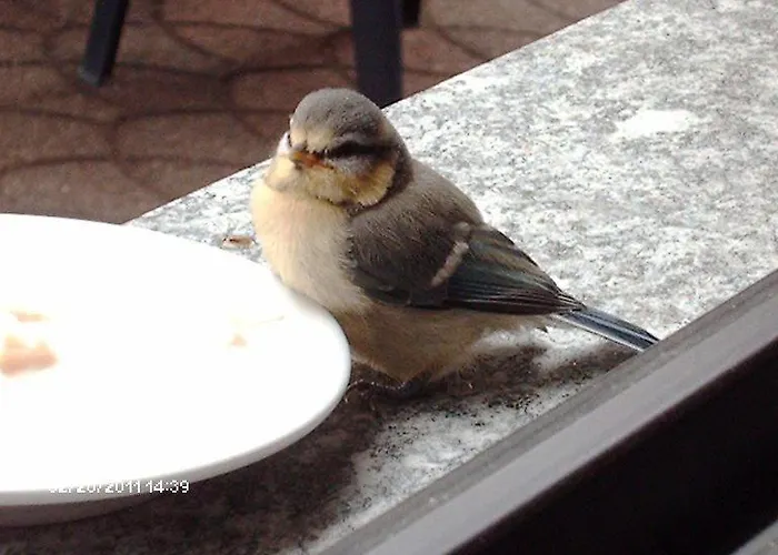 Hotel La Capannina 3*