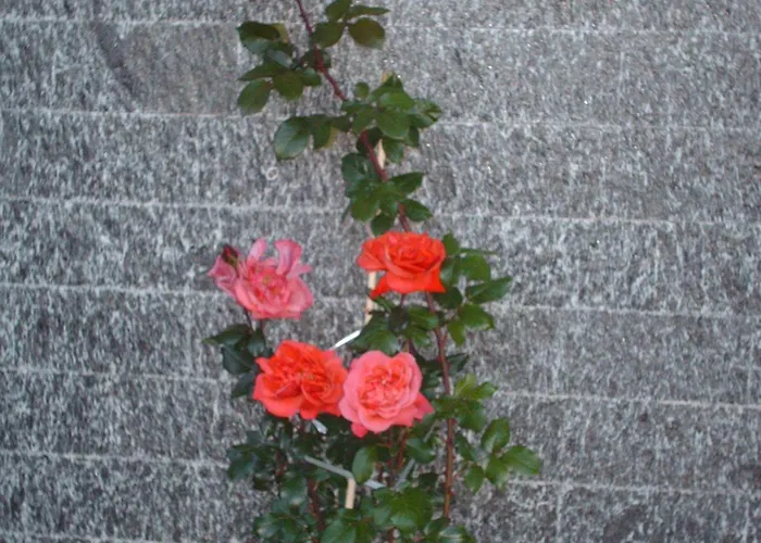 Hotel La Capannina Massino Visconti